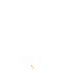 招财蛙