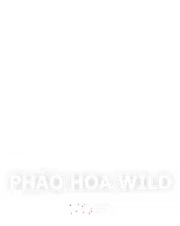 Pháo hoa Wild