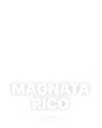Magnata rico