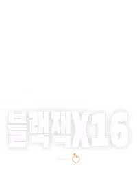 블랙잭 16