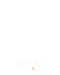 Bão Búa