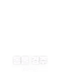 동물 경주