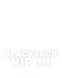 Blackjack VIP 14