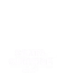 Santa Surprise