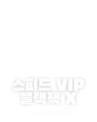 스피드 VIP 블랙잭 X