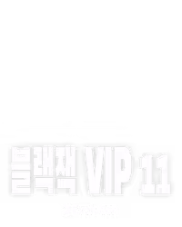 블랙잭 VIP 11