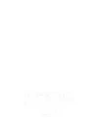 极速轮盘