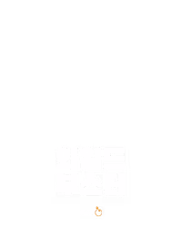 와일드 부스터