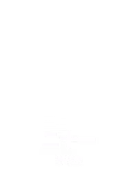 二十一