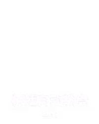 极速自动轮盘