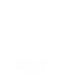 激光小子