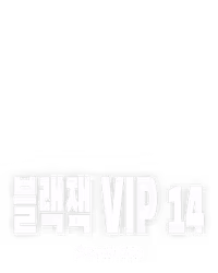 블랙잭 VIP 14
