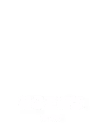 花朵 圣诞版