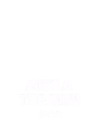 Attila The Hun