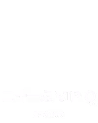 ⼆⼗⼀点 VIP Q