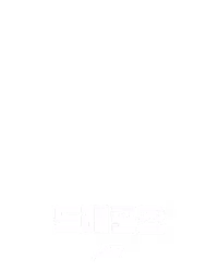 드래곤즈