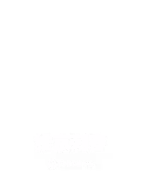 维京刺客