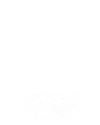 特注龙虎