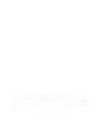 极速⾃动轮盘